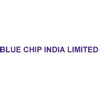 blue chip india ltd board of directors